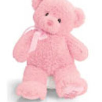 pink-teddy