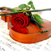 mem-violin