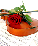 mem-violin