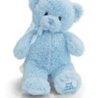 blue-teddy