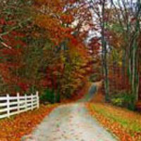 autumn-backroad