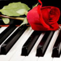 piano-red-rose