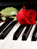 piano-red-rose