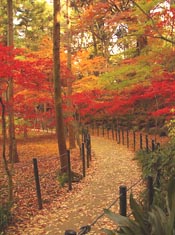 amem autumn1