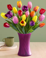 tulips