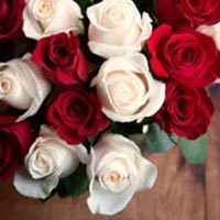 amem_red-white-roses