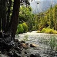 amem_mountainstream