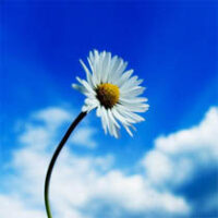 Flory, Mary Oberholtzer