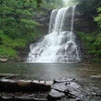 Fulks, Dorothy O’dell Helms