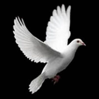 Dove, Claudine Gertrude