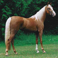 Shaver, Charles Sidney