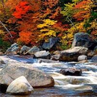 amem_fall_creek.jpg