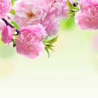 Robinson, Dorothy Lea