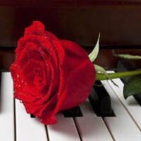 amem_piano-rose