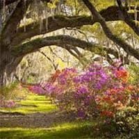 Robertson, Betty Pearl