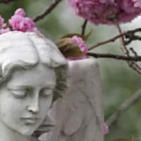 Johnston, Melissa Jean