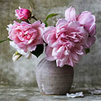 Cooke, Elizabeth Bowman
