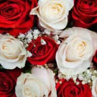 DeLevo, Shirley Christoff