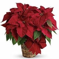Parcell, Betty Ellen