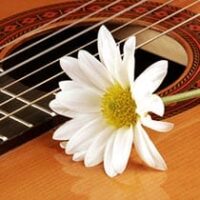 amem_guitar1