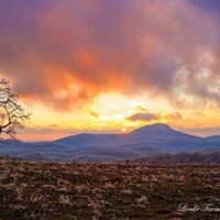 Buffalo Mountain Photo